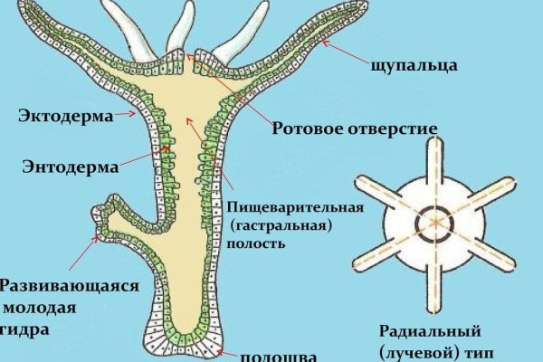 Кракен шоп зеркало