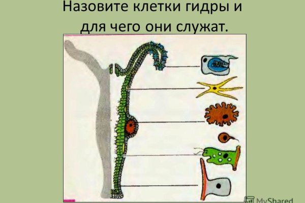 Кракен зеркало 2kraken biz