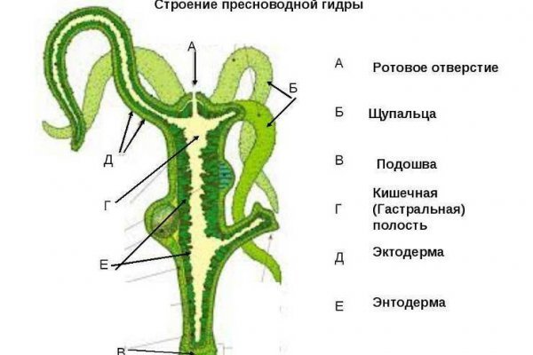 Kraken зеркало kr2web in