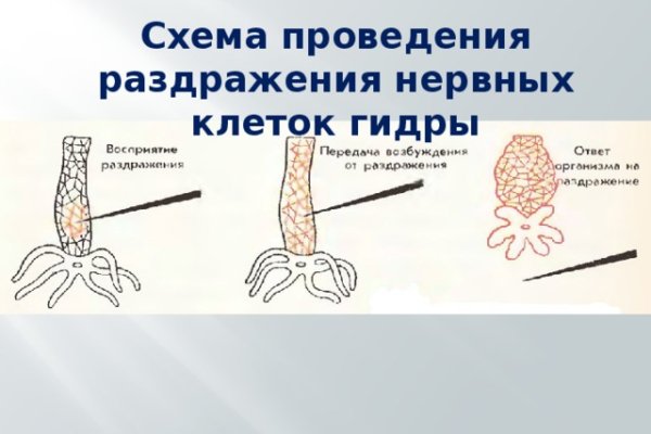 Как вывести деньги с кракена