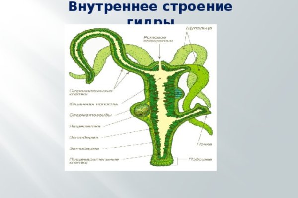 Ссылки на кракен маркетплейс