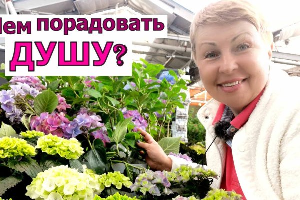 Kraken сайт kraken clear com