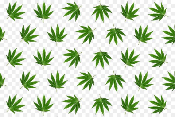 Кракен магазин нарко